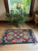 2.5x4 Rugs