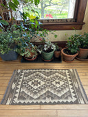 Kilim Accent Rug Natural 2