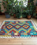 Kilim 4'x6' Rug