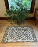 2.5'x 4' Kilim Rug