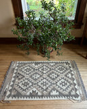 2.5'x 4' Kilim Rug
