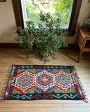 2.5'x 4' Kilim Rug