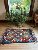 2.5'x 4' Kilim Rug
