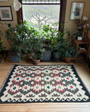 Kilim 4'x6' Rug